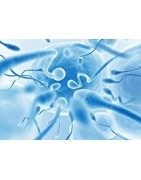 gamme de produits naturels phytosensuel pour augmenter le volume du sperme sa qualité et favoriser la fertilité de l'homme